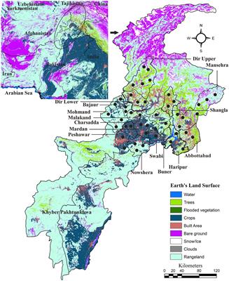Molecular evidence of Borrelia theileri and closely related Borrelia spp. in hard ticks infesting domestic animals